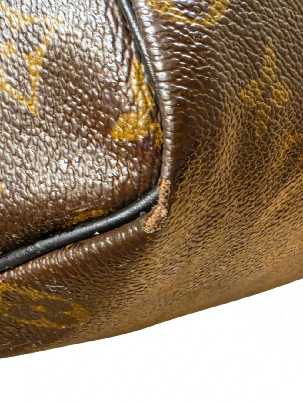 LOUIS VUITTON SPEEDY 25 BAG